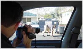 private-detectives-and-investigators-bournemouth